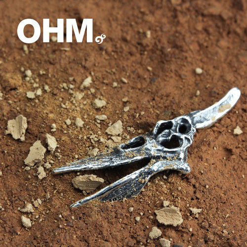 Pteranodon Skull (Retired) - Image 3