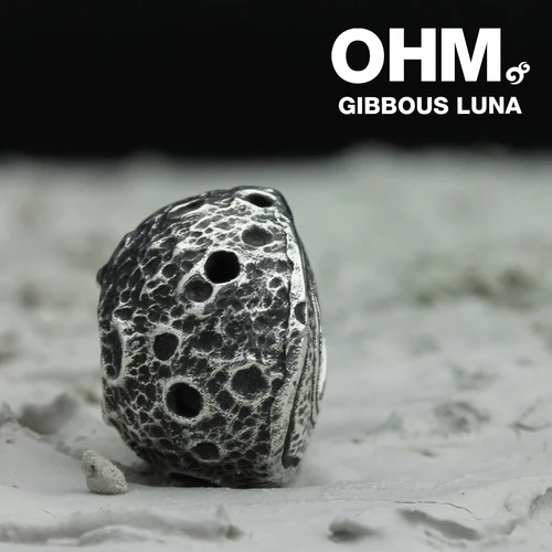 Gibbous Luna - Image 3