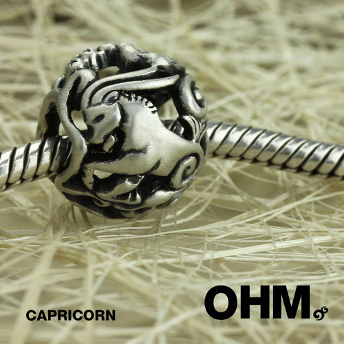 Capricorn (Retired) - Image 3