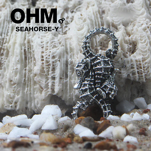 Seahorse-y - Image 3