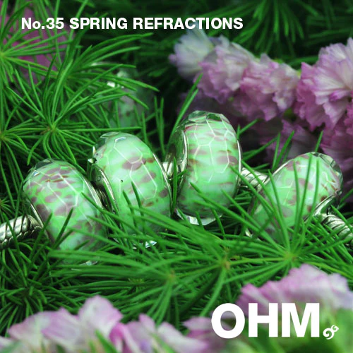 Spring Refractions - Image 3