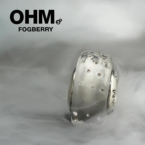 Fogberry (Retired) - Image 4