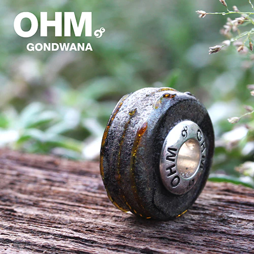 Gondwana (Retired) - Image 4