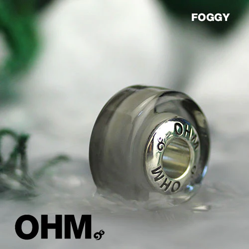 Foggy (Retired) - Image 4