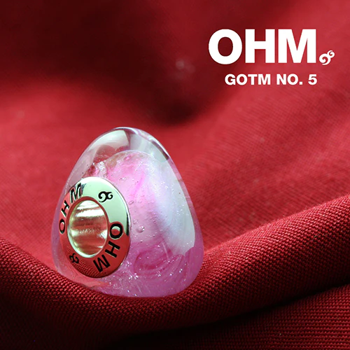 GOTM NO. 5 - Image 4