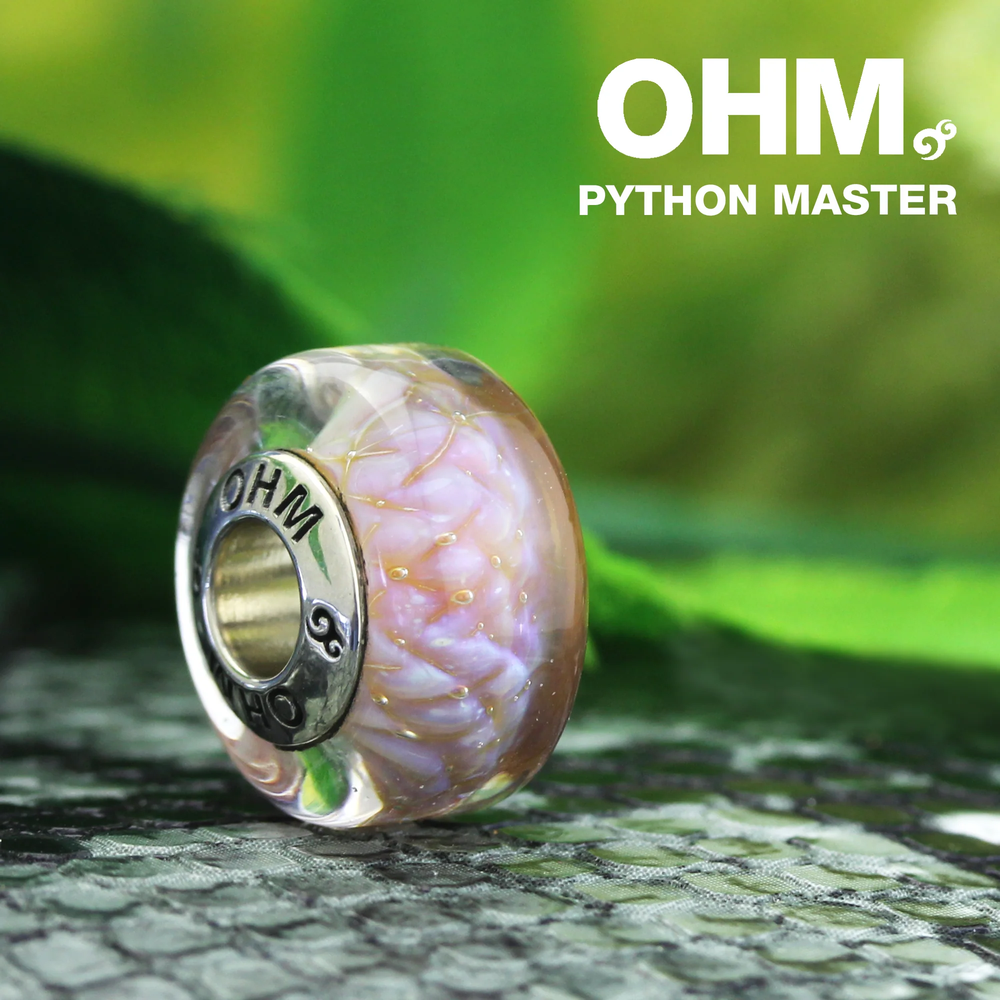 Python Master (Retired) - Image 4