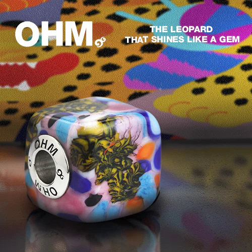 The Leopard That Shines Like A Gem - Image 4