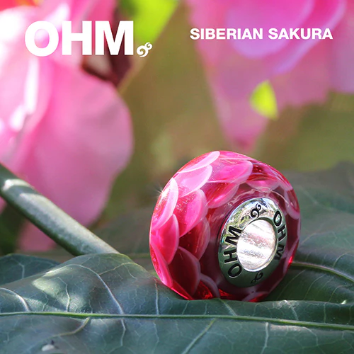 Siberian Sakura - Image 4