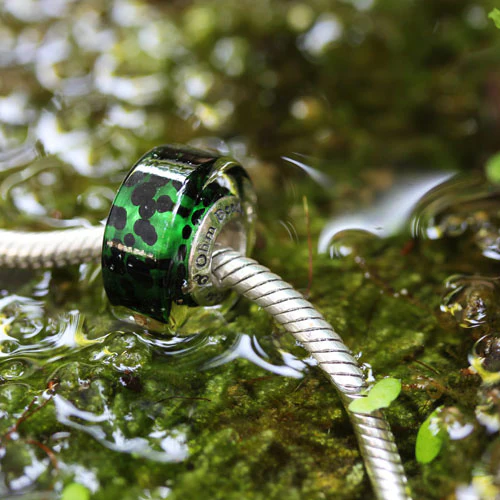 Frog Fantasticism (Retired) - Image 3