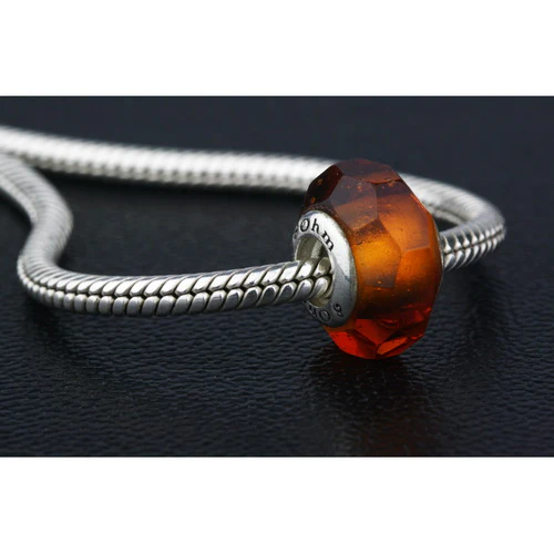 Amber (Retired) - Image 2