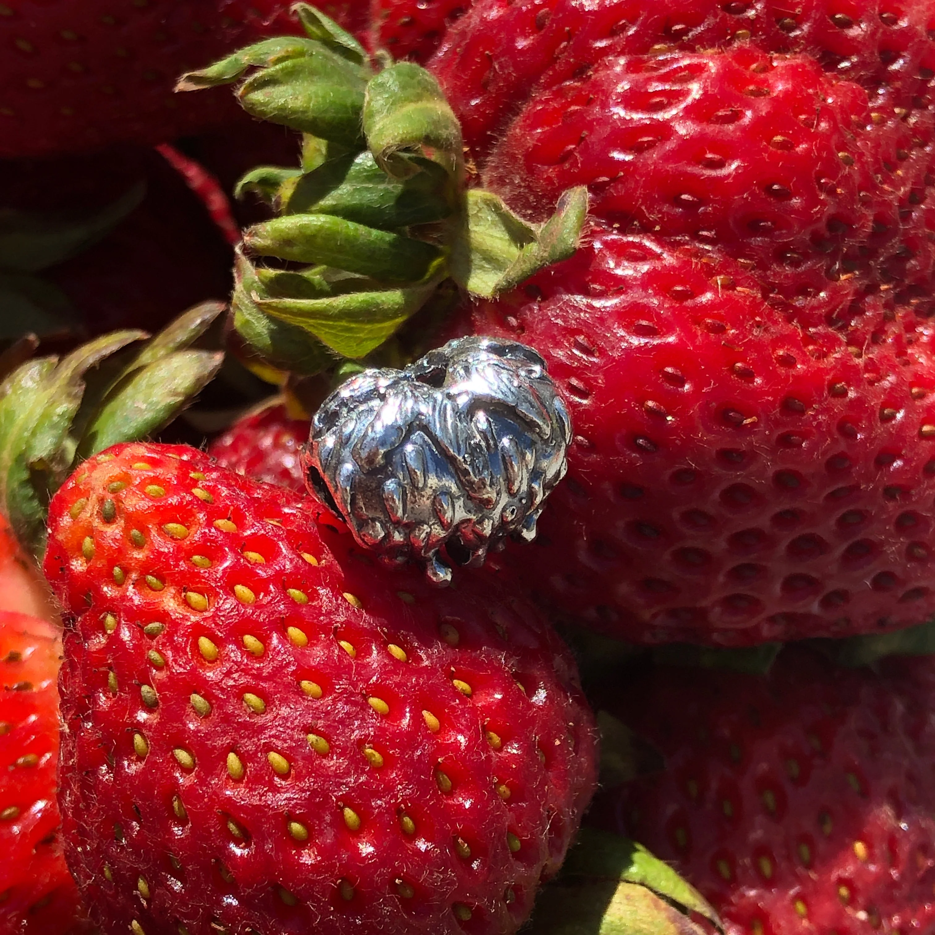Juicy Strawberry (Retired) - Image 3