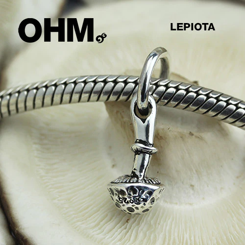 Lepiota - Image 3