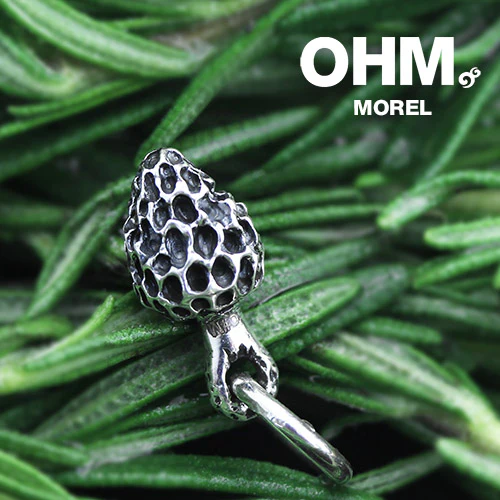 Morel - Image 3